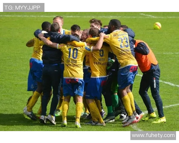 挪威足球明星阵容全景展示与精彩瞬间回顾 挪威足球明星阵容全景展示与精彩瞬间回顾